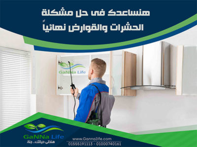 مكافحة وابادة الحشرات والفئران