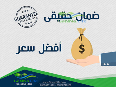 ابادة الحشرات المنزلية