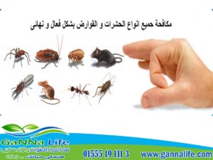 pest control