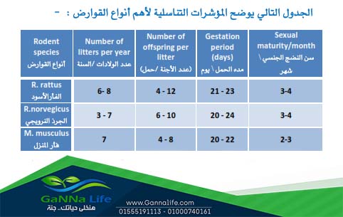 توضيح للمؤشرات التناسلية لأهم أنواع الفئران والقوارض
