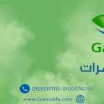 مكافحة الحشرات والفئران