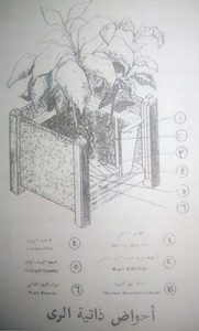 أحواض ذاتية الري