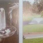 تنسيق نباتات الزينة بأركان الشرفات والفرندات 