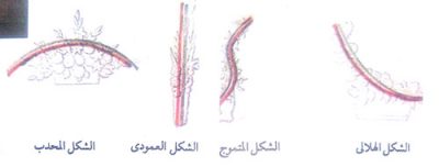 تصميم تنسيق الزهور