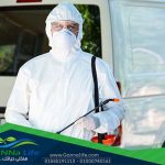 مكافحة الحشرات الكيميائية