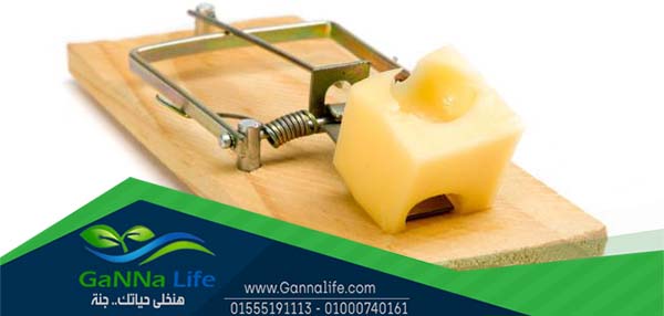 مكافحة الحشرات عن طريق المصائد