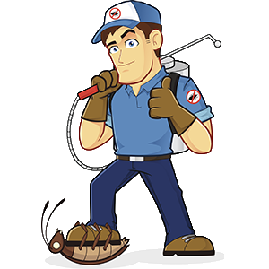 خدمة مكافحة الحشرات والقوارض